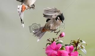 qq怎么快速删除好友 qq怎么快速删除好友