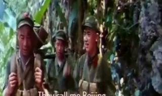 自卫反击战电影大全 自卫反击战电影大全