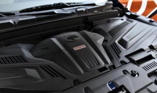 为什么北极熊不吃企鹅 企鹅找北极熊玩