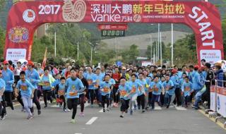 深圳马拉松报名